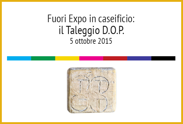 Fuori Expo in caseificio: il Taleggio D.O.P. - II appuntamento