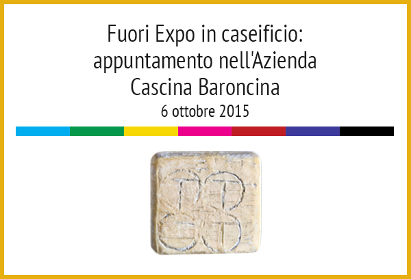 Fuori Expo in caseificio: II appuntamento nell'Azienda Cascina Baroncina con il Taleggio