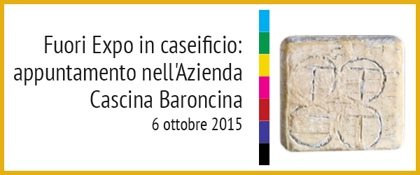 Fuori Expo in caseificio: II appuntamento nell'Azienda Cascina Baroncina con il Taleggio