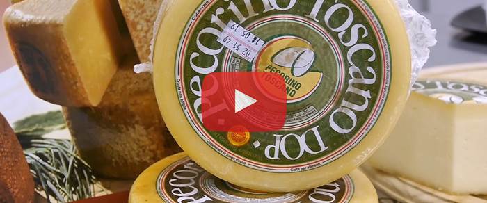 Pecorino Toscano DOP: 1°- 2° incontro