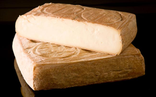 taleggio